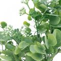Floristik24 Hääsisustus Keinotekoiset eukalyptuksen oksat kukilla Koristekimppu Vihreä, Valkoinen 26cm