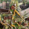 Floristik24 Eukalyptuksen säilötyt oksat, lehdet pyöreät vihreät 150g