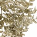 Floristik24 Eukalyptuksen oksa keinotekoinen kultainen luminen eukalyptus joulukoriste 36cm