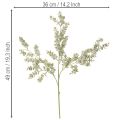 Keinotekoinen eukalyptusoksa, koristeellinen oksa maljakoihin ja kimppuihin, 49 cm, 4 kpl | Floristik24.fi