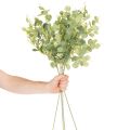 Keinotekoinen eukalyptusoksa pyöreillä lehdillä, 75 cm, 4 kpl | Floristik24.fi