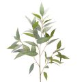 Floristik24 Keinotekoinen eukalyptusoksa, luonnonvihreä, koriste, 100 cm