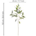 Keinotekoinen eukalyptusoksa, luonnonvihreä, koriste, 100 cm | Floristik24.fi