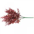 Floristik24 Syksyn koriste Eukalyptus oksa punainen keinotekoinen Eukalyptus 36cm