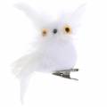 Floristik24 Koristeellinen pöllö kiinnikkeellä valkoinen 10cm 4kpl