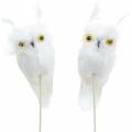 Floristik24 Koristeellinen pöllö valkoinen 10cm 2kpl