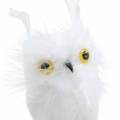 Floristik24 Koristeellinen pöllö valkoinen 10cm 2kpl