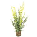 Floristik24 Keinotekoinen saniaiskasvi juuripaakkuineen kodin ja toimiston sisustukseen, 57 cm