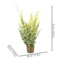 Keinotekoinen saniaiskasvi juuripaakkuineen kodin ja toimiston sisustukseen, 57 cm | Floristik24.fi