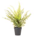 Keinotekoinen saniainen ruukussa sisäkasveihin, 40 cm | Floristik24.fi