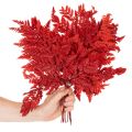 Säilötyt ja värjätyt saniaisenlehdet, aito saniaiset syysasetelmiin, 42 cm, 10 kpl | Floristik24.fi