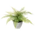 Floristik24 Keinotekoinen saniainen ruukussa olohuoneeseen ja toimistoon, 35 cm