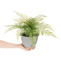 Keinotekoinen saniainen ruukussa olohuoneeseen ja toimistoon, 35 cm | Floristik24.fi