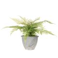 Keinotekoinen saniainen ruukussa olohuoneeseen ja toimistoon, 35 cm | Floristik24.fi