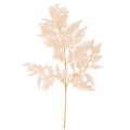 Floristik24 Kuivatut saniaiset maljakon koristeet 42cm 10kpl
