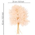 Kuivatut saniaiset maljakon koristeet 42cm 10kpl | Floristik24.fi