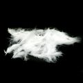 Floristik24 Feathers White Aidot lintujen höyhenet pääsiäiskoristeiden koristeluun 20g