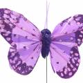 Floristik24 Sulkaperhonen lanka pinkki, violetti 7cm 24kpl