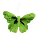 Floristik24 Sulka perhonen 8,5 cm vihreä 12kpl
