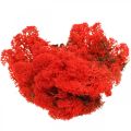 Deco sammal punainen poro sammalta käsityöhön 400g