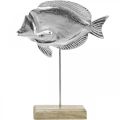 Floristik24 Koristekalat, merikoristeet, kala hopeametallia, luonnollinen väri H28,5cm