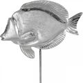 Floristik24 Koristekalat, merikoristeet, kala hopeametallia, luonnollinen väri H28,5cm