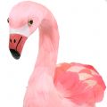 Floristik24 Koristeellinen flamingo höyhenillä vaaleanpunainen H45cm