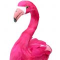 Floristik24 Koristeellinen lintu Flamingo Pink H46cm