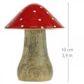Floristik24 Perhohelta deco puinen sieni syksyn koristepuu 10×8cm