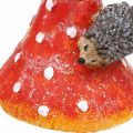 Floristik24 Toadstool siilillä Deco Mushroom pöydän koriste syksy H22cm 2kpl 2kpl