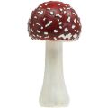 Floristik24 Deco kärpäshelteen punainen, valkoinen syyskoristeen sieni Ø10,5cm K21cm