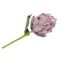 Floristik24 Vaahto-artisokka vaalean violetti 14cm L28cm 1p