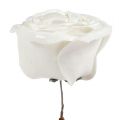 Floristik24 Vaahtomuovi ruusu valkoinen helmiäisellä Ø10cm 6kpl