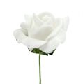 Foam Rose Ø 3,5cm valkoinen 48 kpl | Floristik24.fi