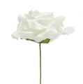 Floristik24 Vaahto ruusu valkoinen Ø15cm 4kpl