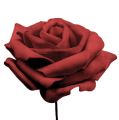 Floristik24 Vaahto ruusunpunainen Ø10cm 8kpl