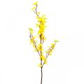 Floristik24 Keinotekoinen forsythia, keinotekoinen haara kultakellot, kevät koristelu L82cm