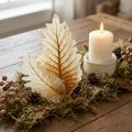 Oak Leaf valkaistu 35 kpl | Floristik24.fi