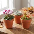 Kukkaruukkusavi Ø6cm korkea 5cm 10kpl | Floristik24.fi
