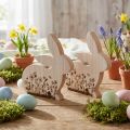 Bunny Wood istuva kukkakuvio Luonnonvalkoinen 24×24cm 2 kpl | Floristik24.fi