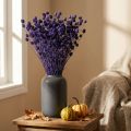Mansikka Ohdake Kuiva Ohdake Koriste Violetti 44-58cm 100g | Floristik24.fi