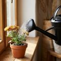 Kastelukannu musta 5l | Floristik24.fi