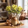 Fat Hen Green Sedum Stonecrop tekokukat 41cm 3kpl | Floristik24.fi
