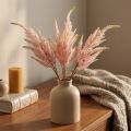Astilbene Pink tekokasvit 47/60cm 3 kpl nippu | Floristik24.fi