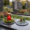 Luonnonliuskekivilautaset pyöreät lasinaluset mustat Ø10cm 6 kpl | Floristik24.fi