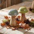 Puiset sienet koristesienet puun harmaa vihreä Ø6cm K10cm 2kpl | Floristik24.fi