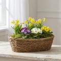 Luonnonvärinen viiniköynnösruukku, soikea, 40x19x11.5cm | Floristik24.fi