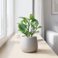 Keinotekoinen vihreä kasvi mehevä tekovihreä H14cm | Floristik24.fi