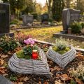 Istuta sydänrottinkiköynnöksiä luonnonvalkoisina 13cmx14cm 2kpl | Floristik24.fi