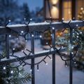 LED riisi valo ketju 40s 3m ulkona kylmä valkoinen | Floristik24.fi